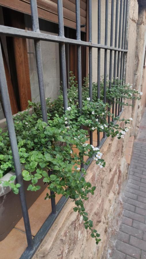 Villa Descubre El Senorio Molina de Aragon Exterior foto